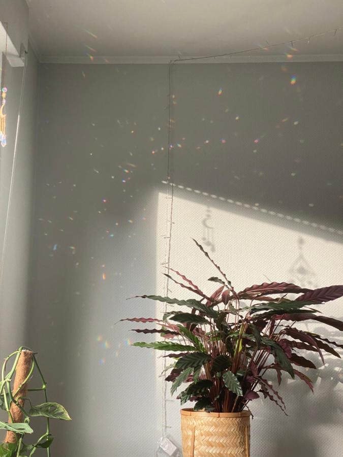 Stylische Maisonettewohnung Stadionnaehe,Wald,Westfalenhalle Dortmund Zewnętrze zdjęcie